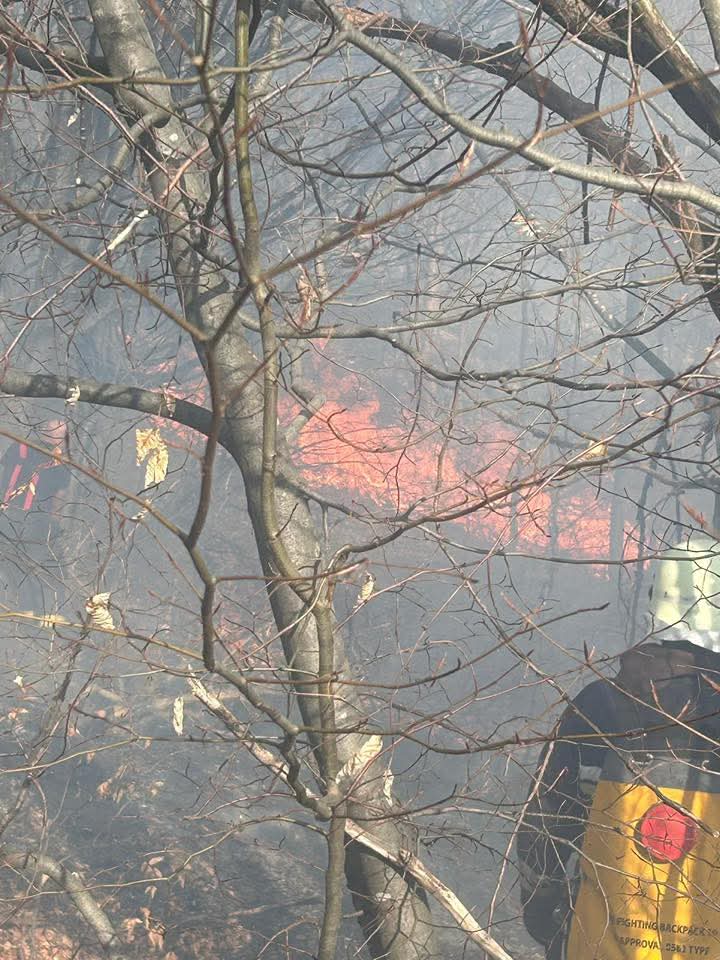 Erdőtűz Szovátán, több tucat ember dolgozik az oltáson