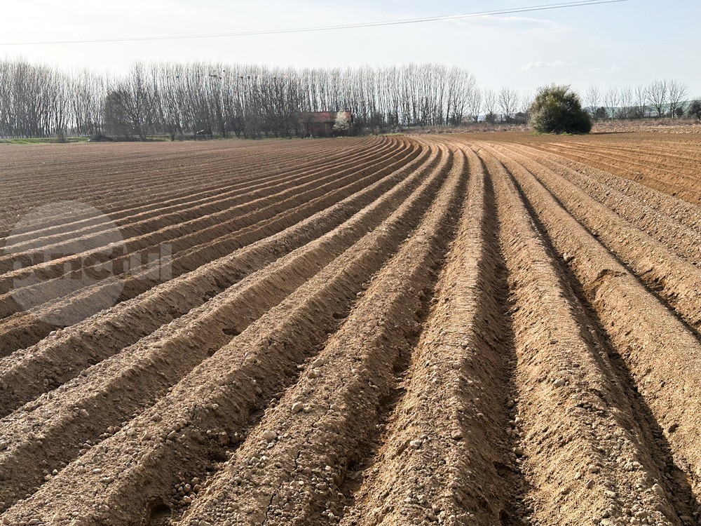 Mekkora mezőgazdasági területet birtokolnak külföldiek Maros megyében?