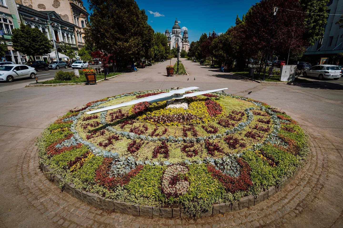 Fehér pont a főtéri virágóra megújulásáért