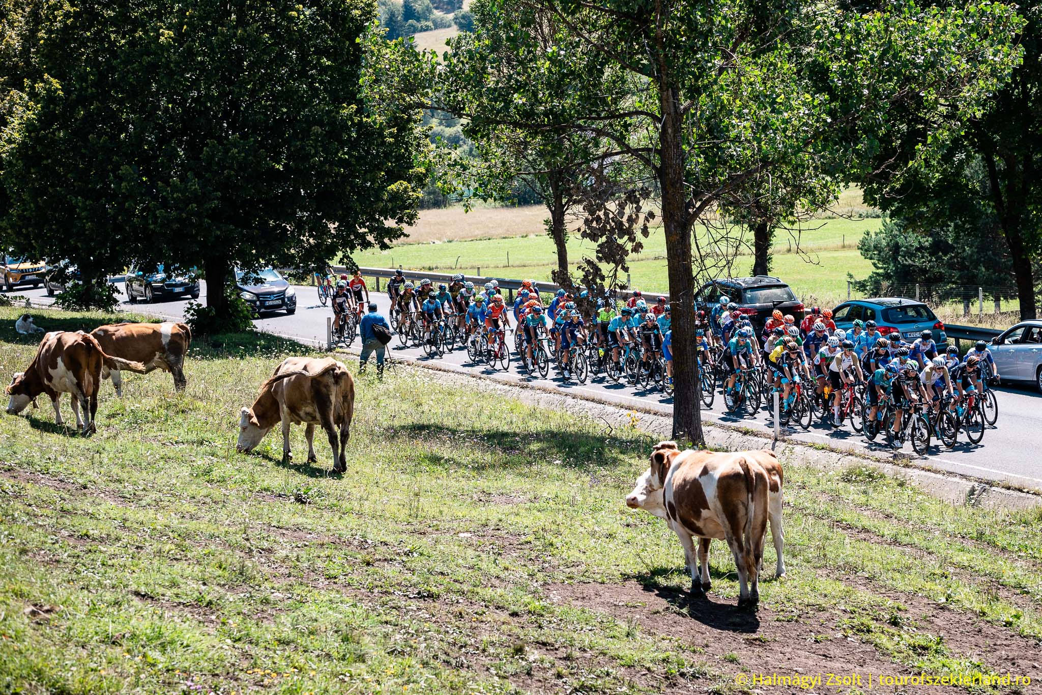 2025-ben indul a Székelykör Fesztivál – Új színfolt a kerékpáros körverseny mellett