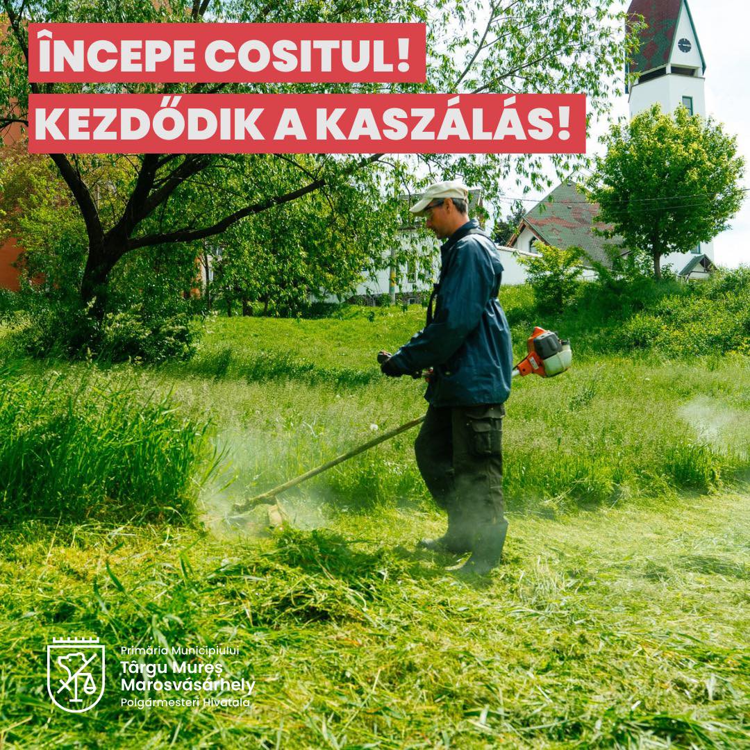 Jüvő héten kezdődik a kaszálás Marosvásárhelyen