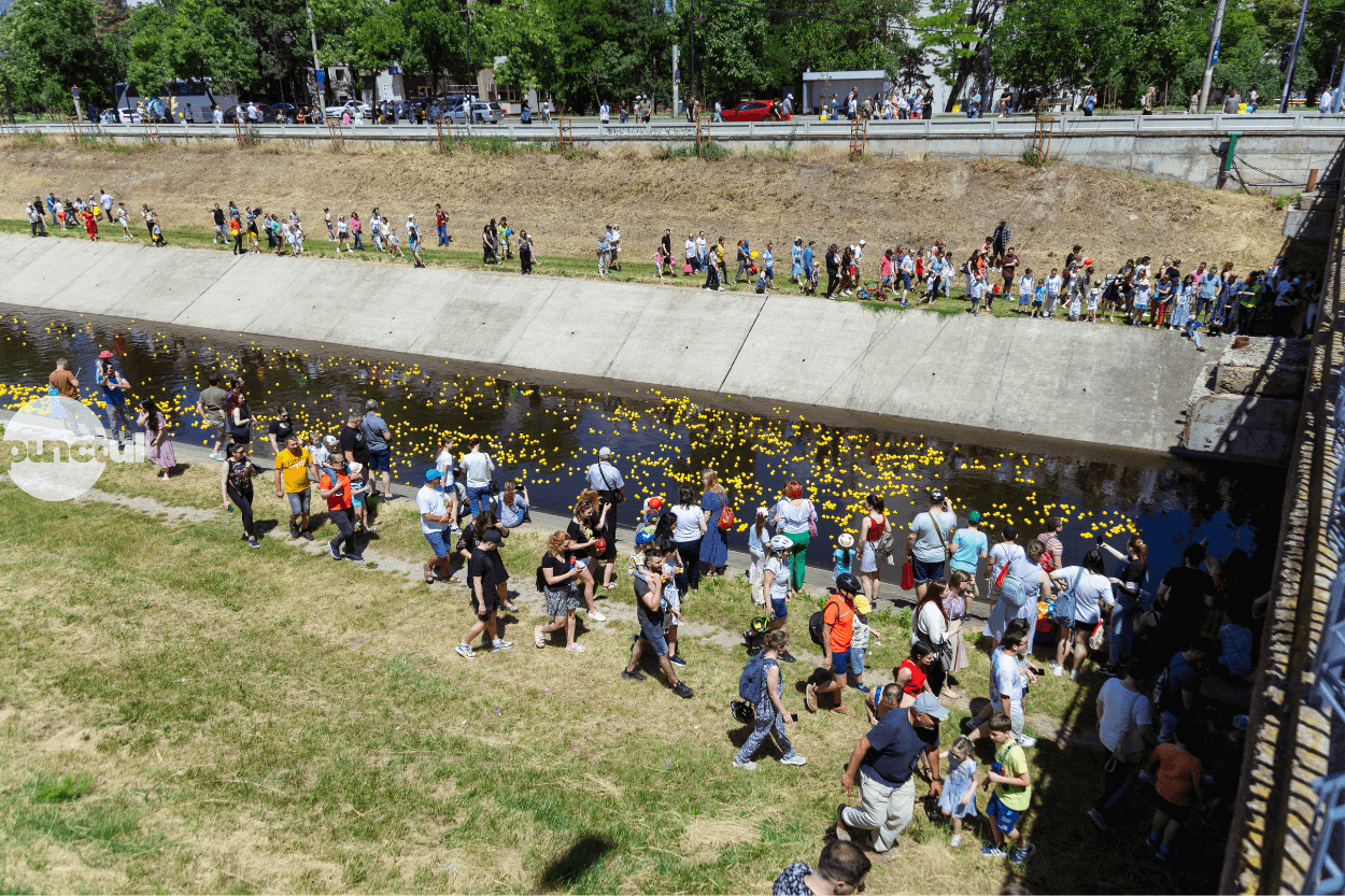 Kacsaúsztatás először Marosvásárhelyen! – a nyár legvidámabb jótékonysági eseménye