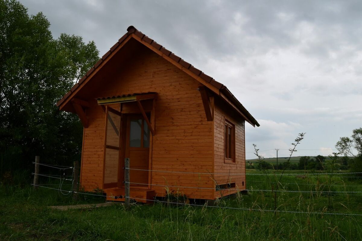 Tapasztaljátok meg az apiterápia különleges élményét Székelyszáldoboson