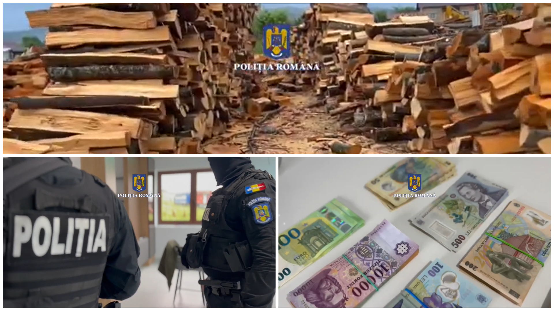 (Videó) Erdészeti razzia Maros megyében: több milliós lefoglalások és előállítások