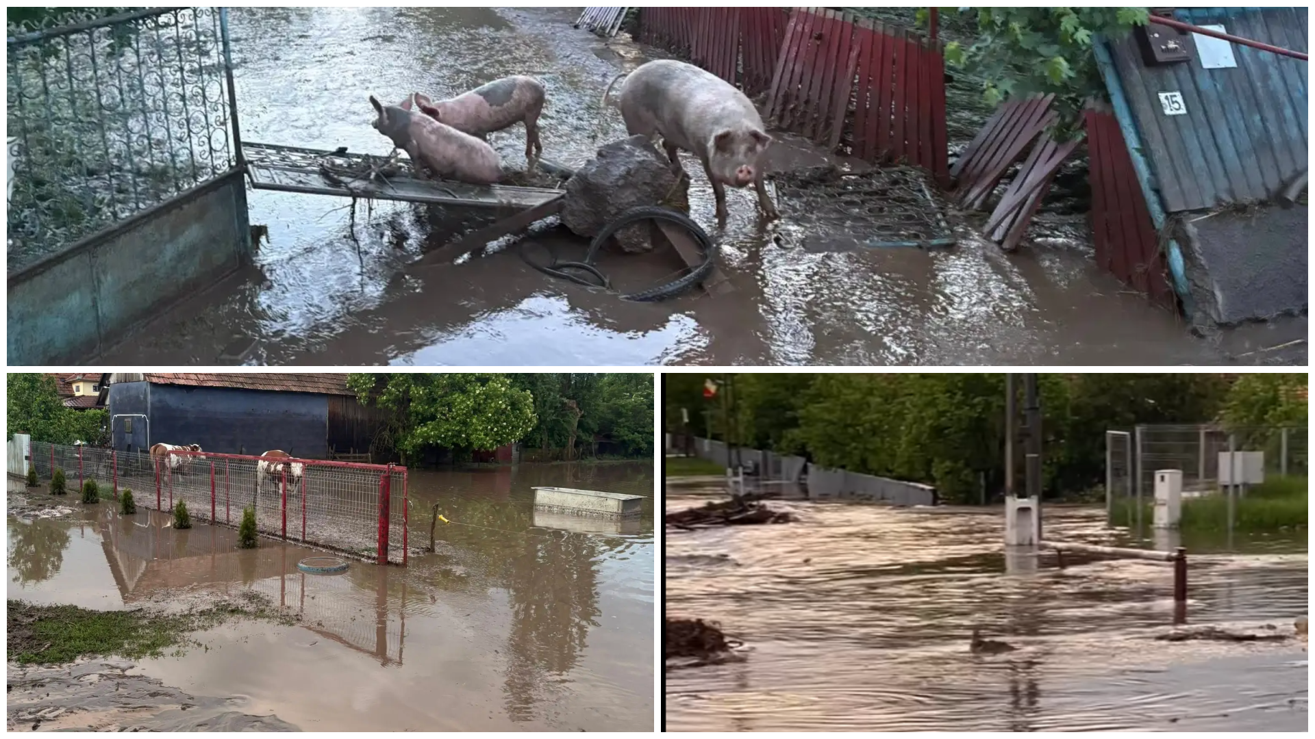 Elárasztott udvarok és állatok – árvíz sújtja Maros megye egyes településeit