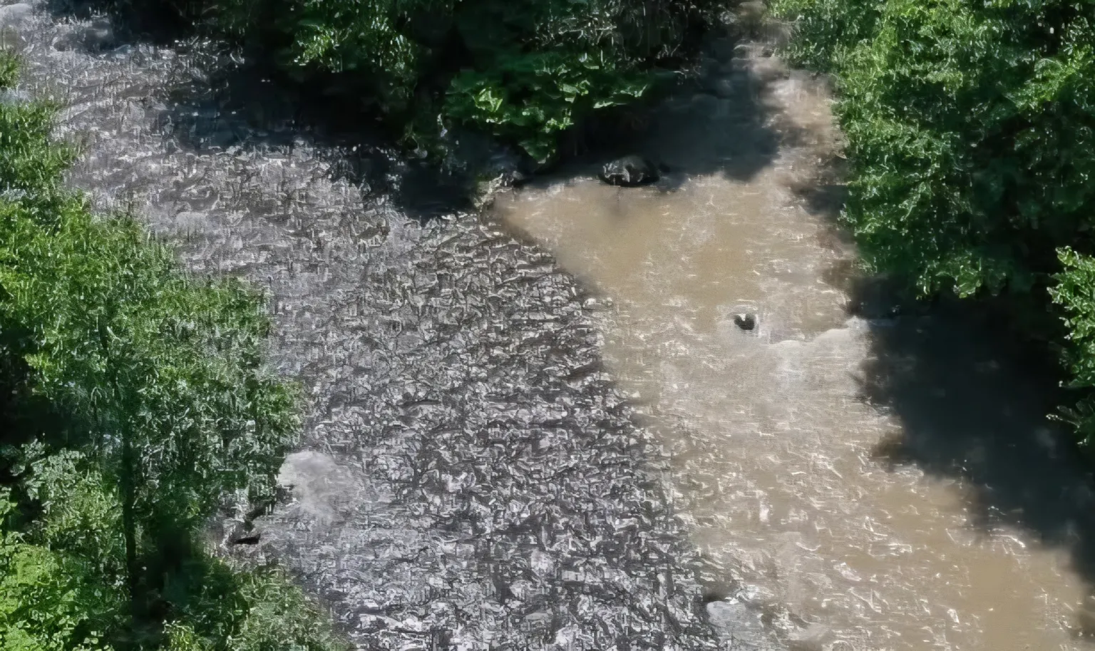 Frissített tájékoztatás a Maros megyei vízhelyzet alakulásáról az érintett településeken