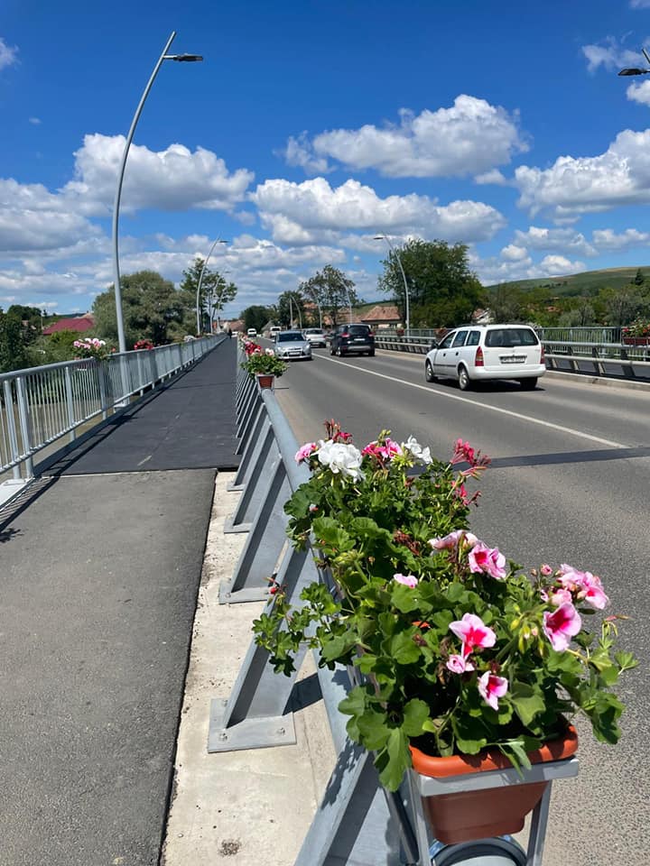 Új hangulat, régi híd: virágokkal szépült meg a Maros-híd Ludason