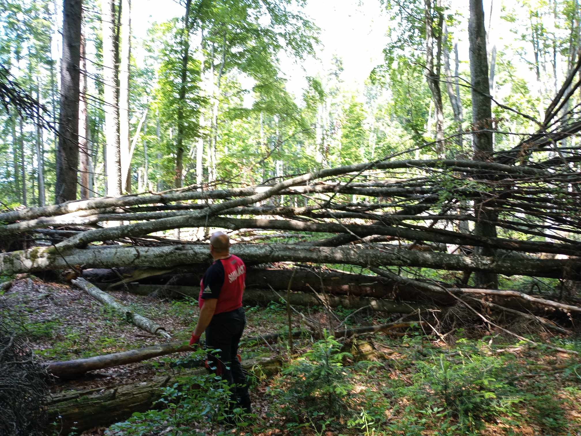 Ideiglenesen nem ajánlott a Szalárd–Jód-mező turistautat használni a Görgényi-havasokban