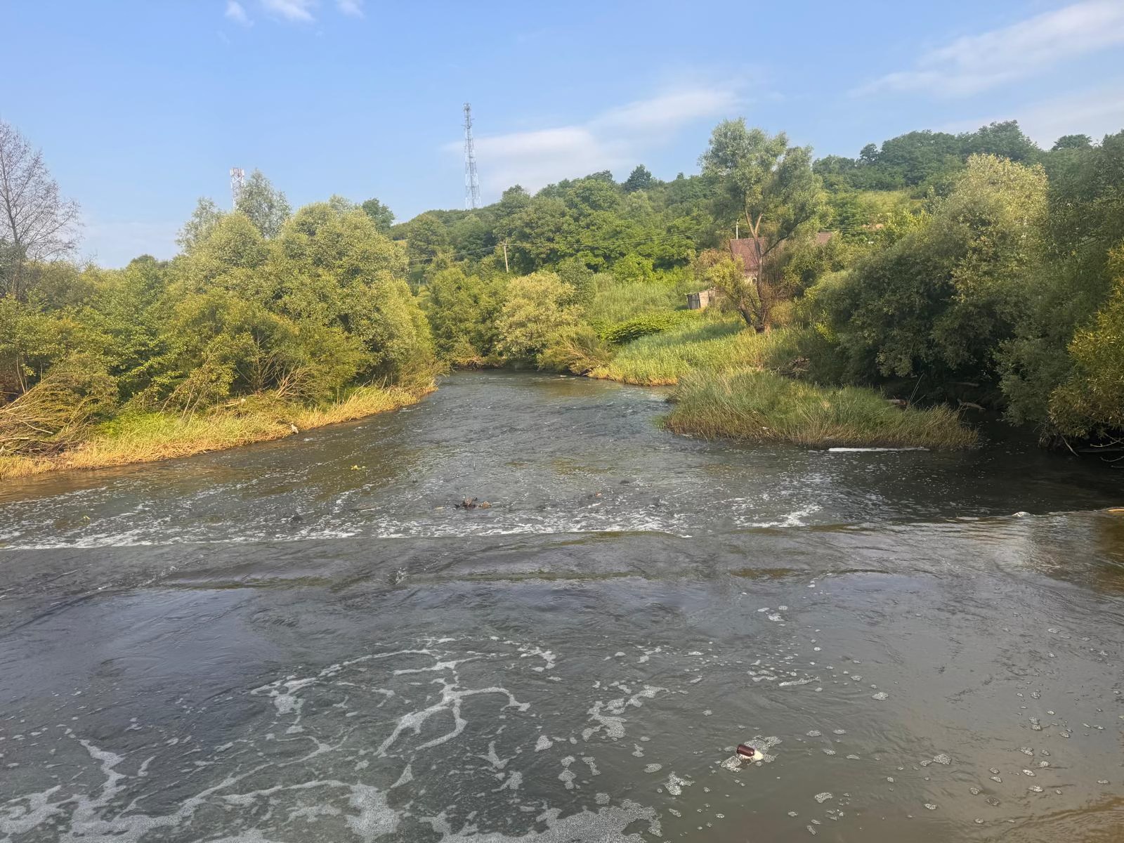 A halpusztulás mellett hódelhullást is észleltek a Kis-Küküllő szennyezett szakaszán