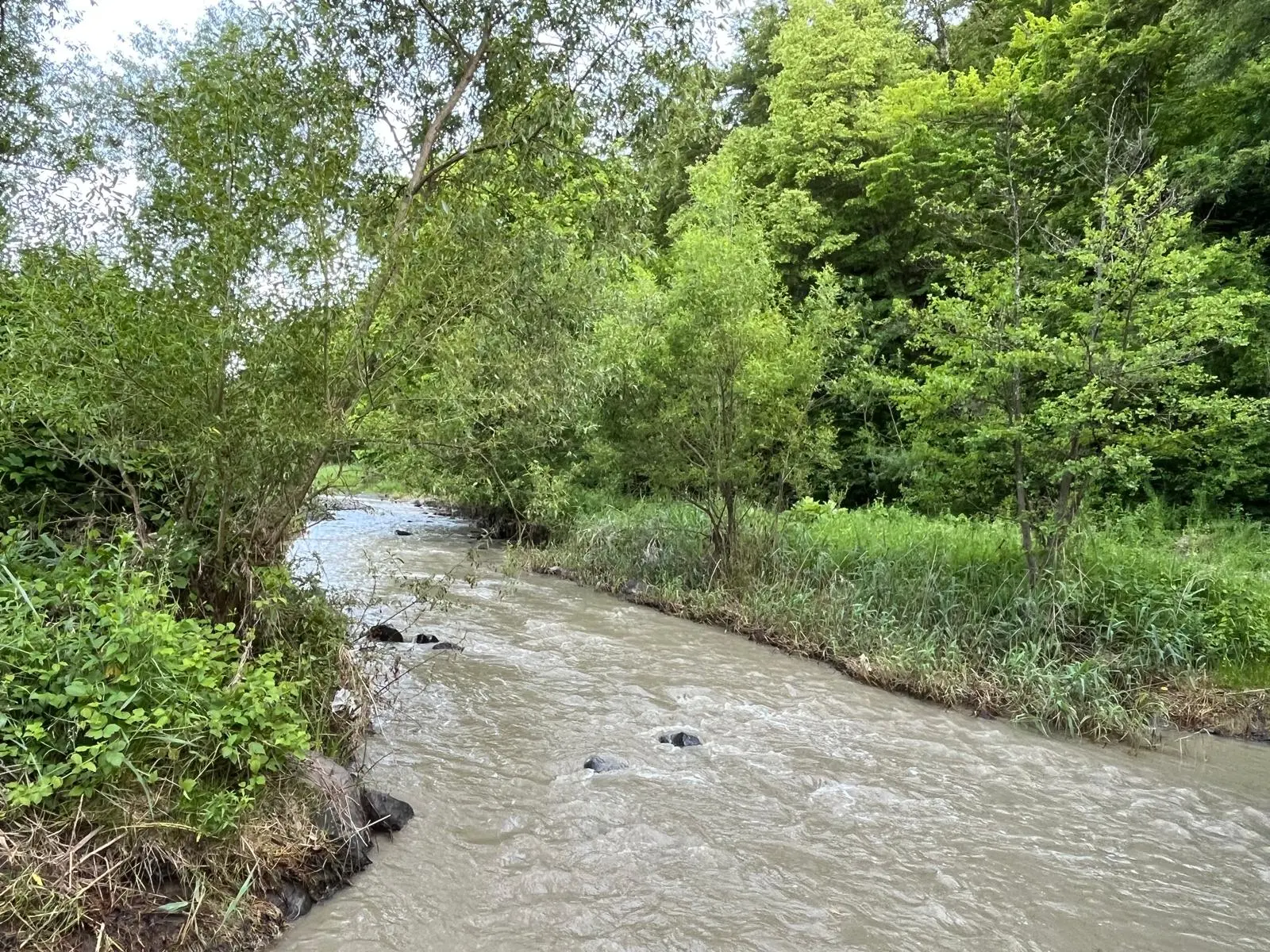 Vízelzárások és új sürgősségi intézkedések a Kis-Küküllő megnövekedett sótartalma miatt