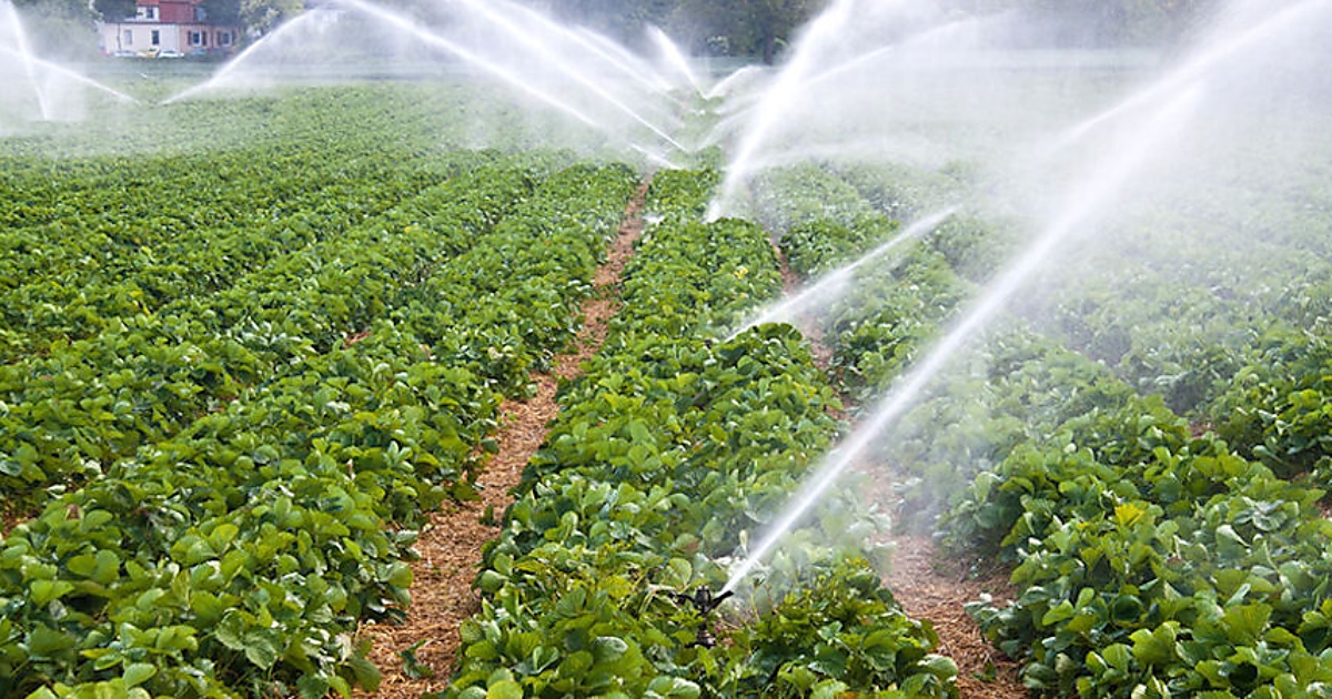 Ingyen biztosítja a magyar kormány a gazdáknak az öntözővizet