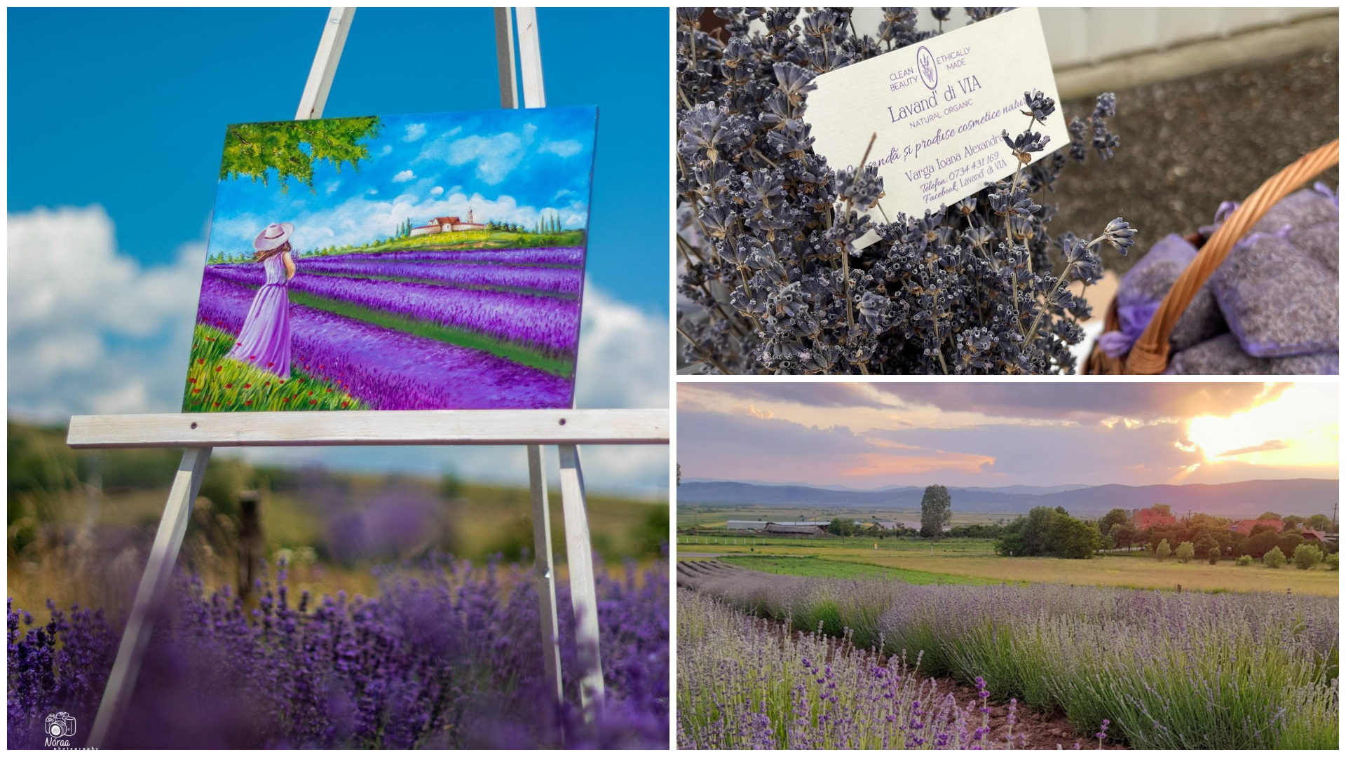 Levendulafesztivál Kovászna megyében: Családi programok és friss nyári élmények