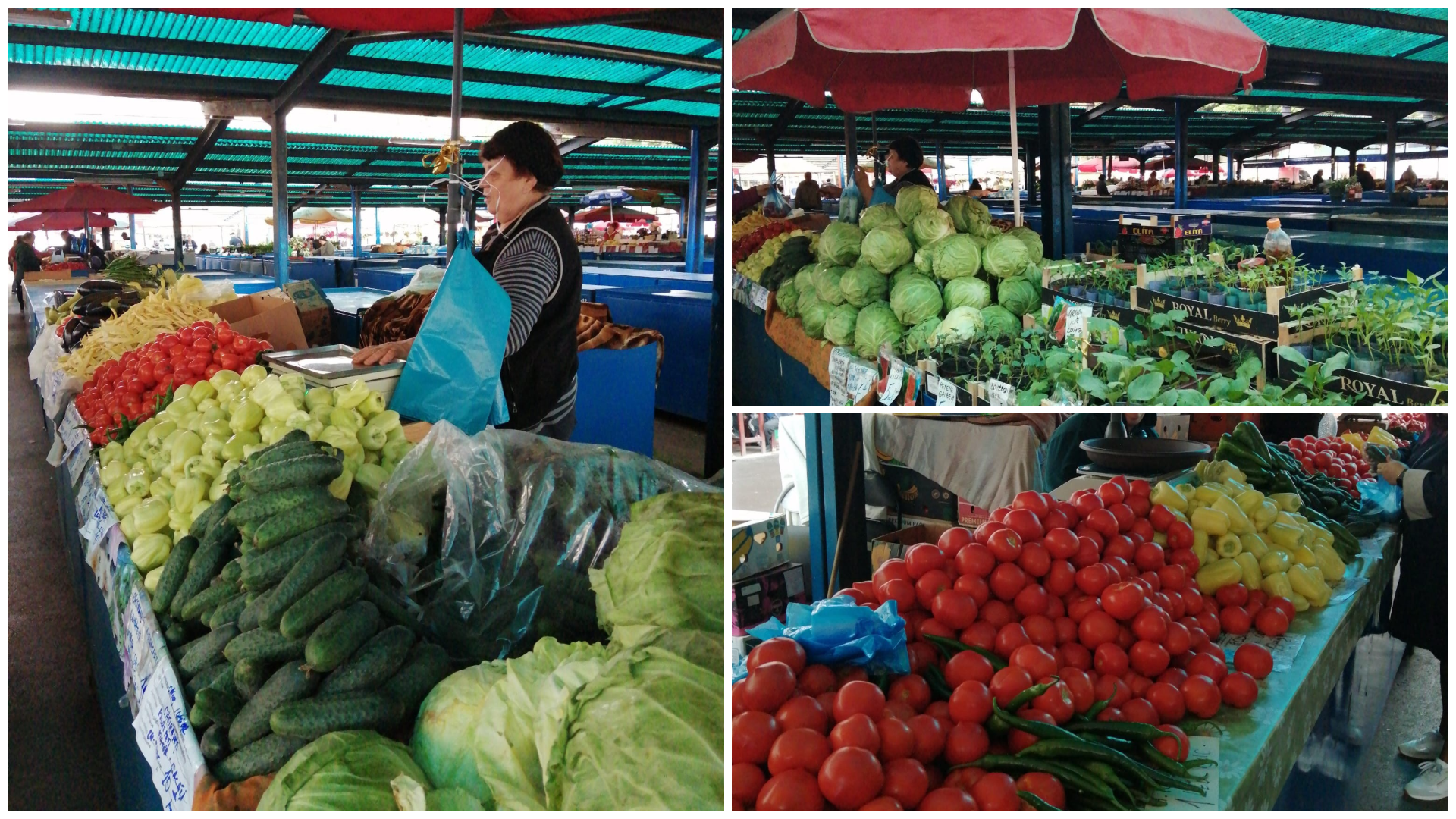 Hazai ízek nyomában – fedezd fel a Kövesdombi piacot!