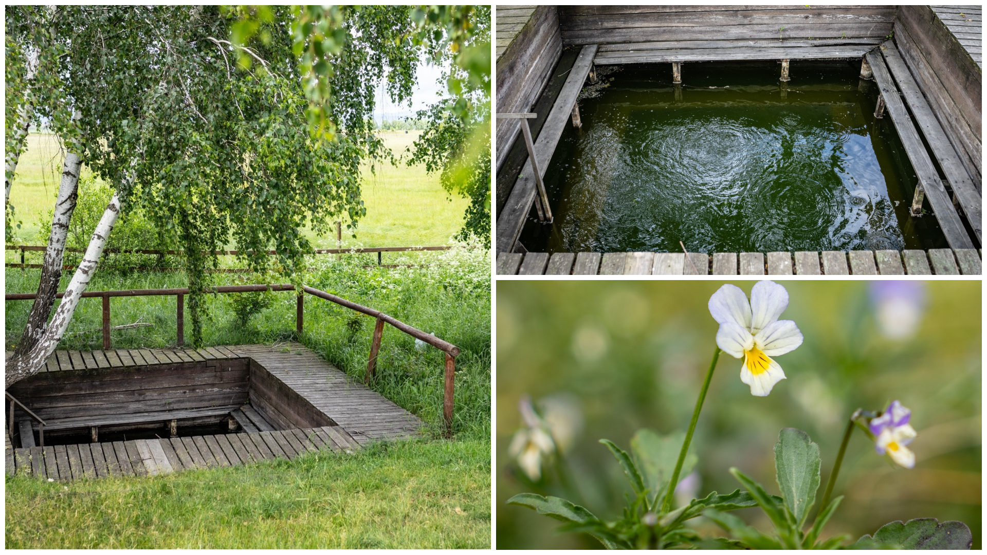 Fortyogó borvízfürdő Petőfalván – természetes élmény testnek és léleknek