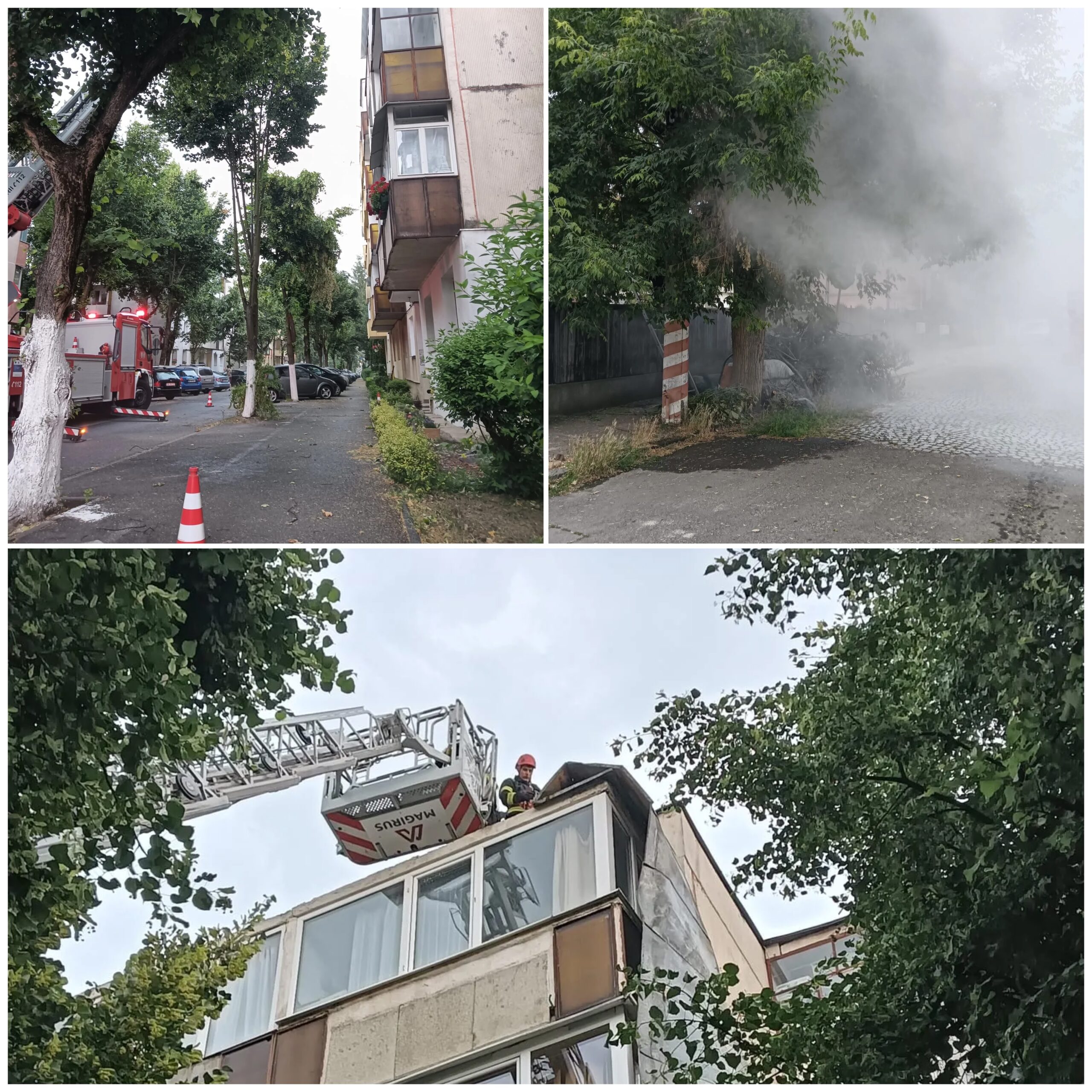 Vihar csapott le Maros megyére – Több fa kidőlt Marosvásárhelyen és környékén