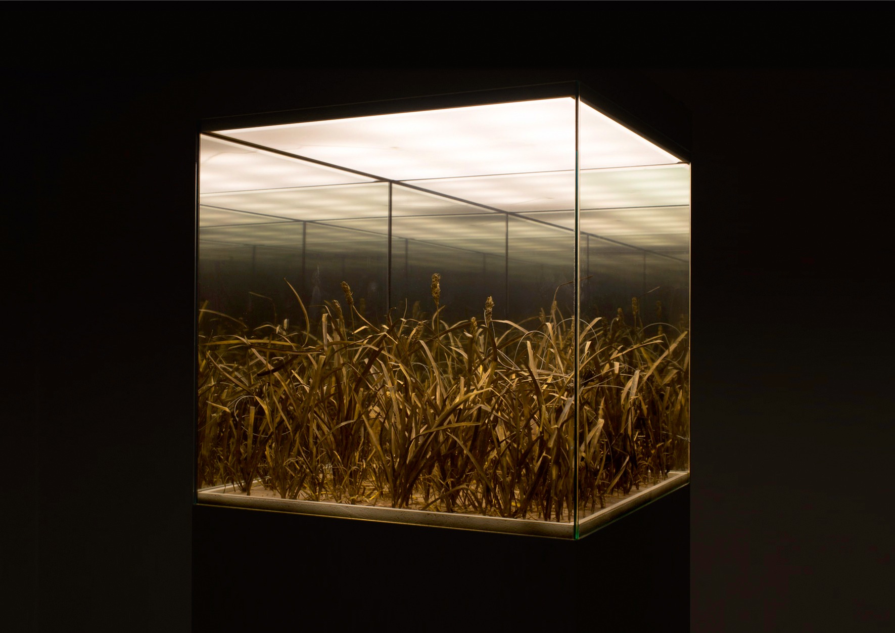 Rézben érthető – Makkai István szobrászművész kiállítása az Erdélyi Művészeti Központban