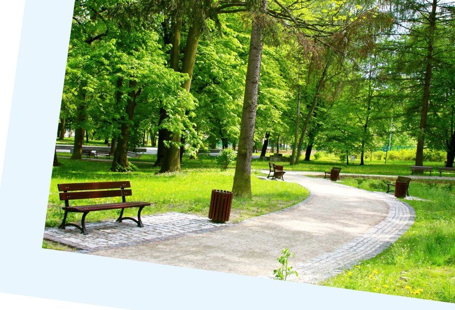 Marosvásárhely zöldterületeinek jövője lakossági vélemények alapján formálódik