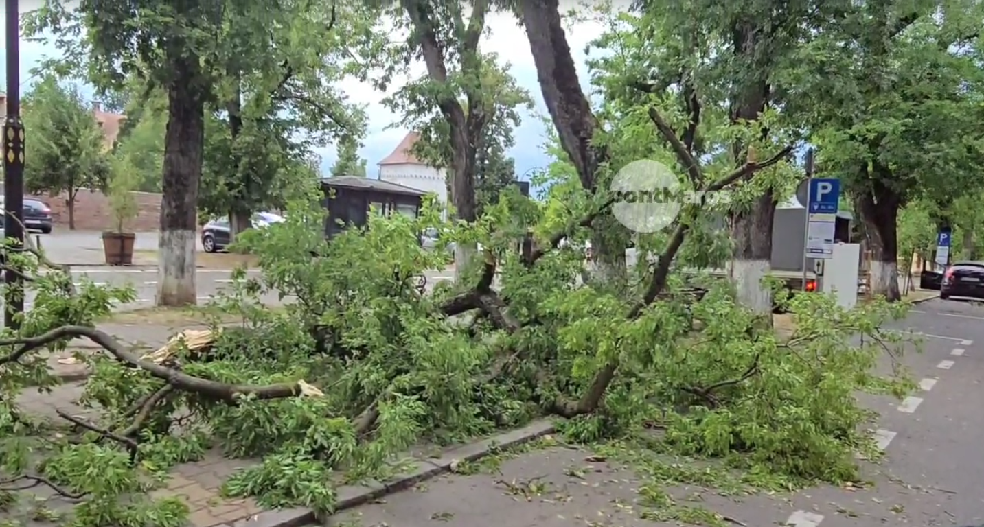 (Videó) A vihar a város legszebb sétányát sem kímélte
