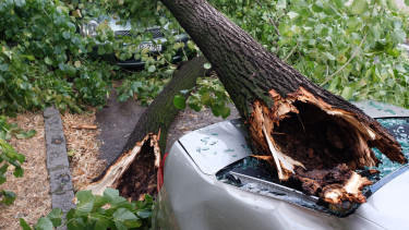 Országszerte közel 10 ezer bejelentés – tűzoltók ezrei dolgoznak a viharkárok felszámolásán Magyarországon