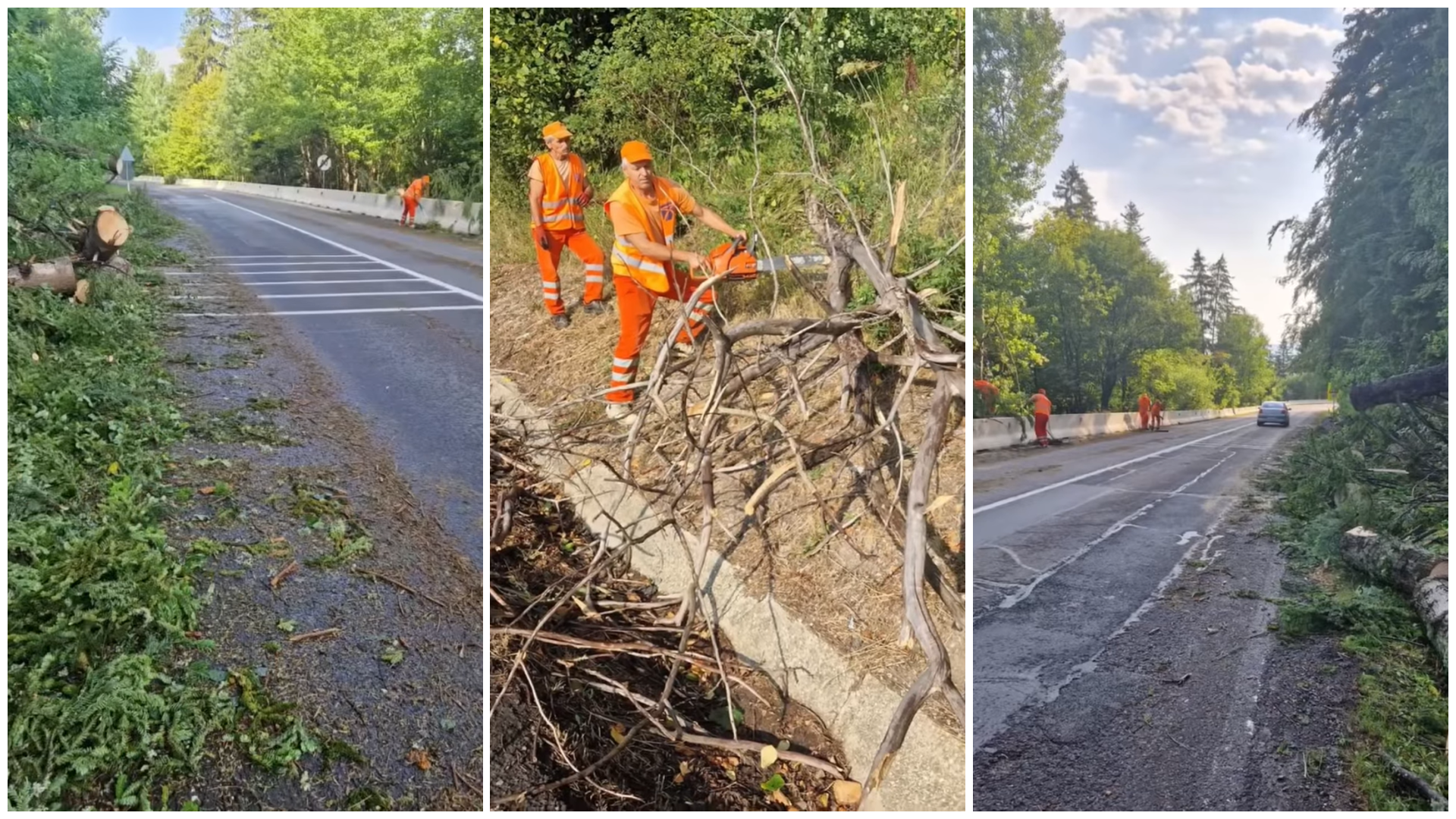 (Videó) Fák dőltek az útra Hargita megyében a vihar után, jelenleg dolgoznak azok eltakarításán