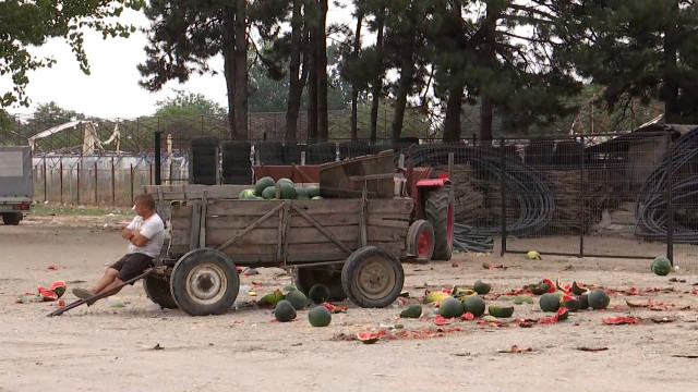 Külföldi dinnye a hazai helyett: eltűnőben a dăbuleni termelés