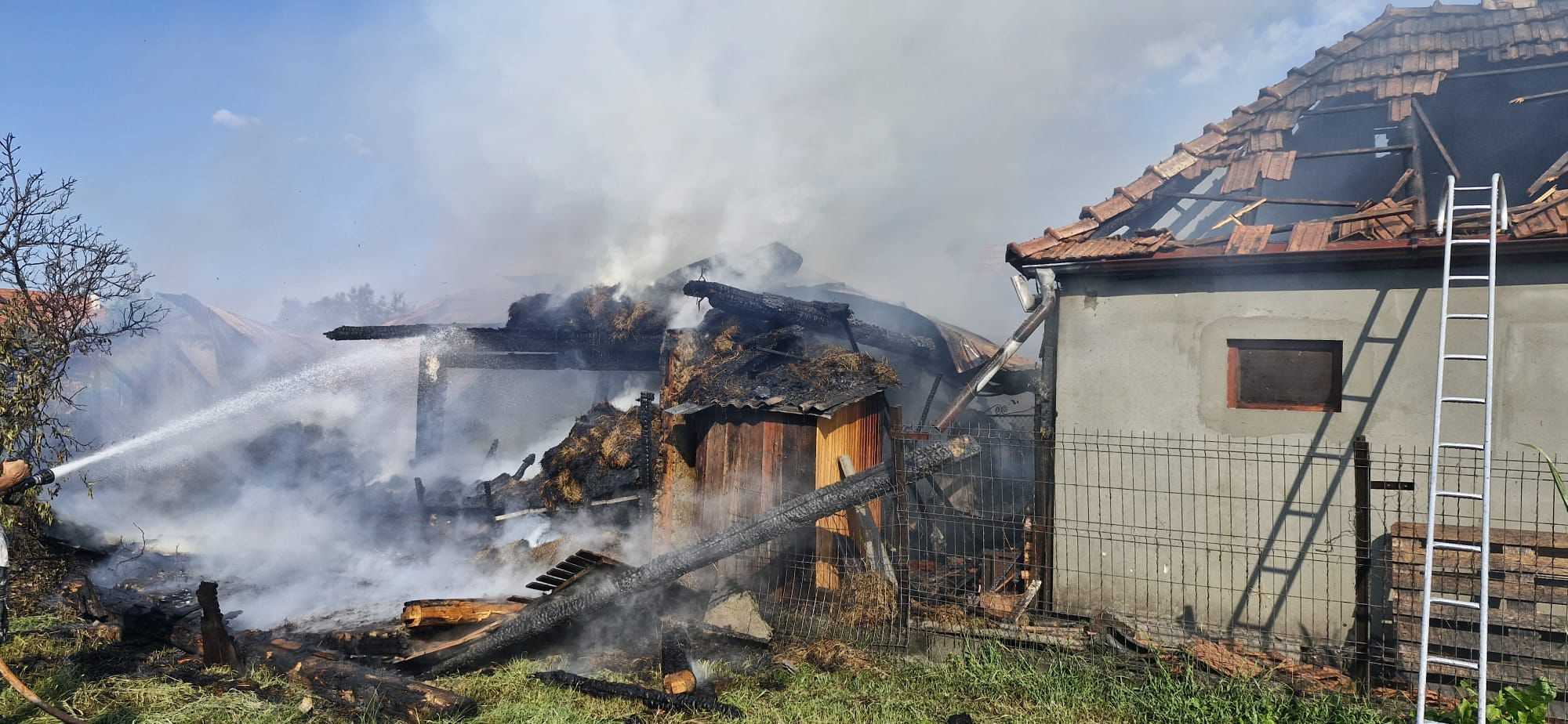 Tragikus tűzeset Maros megyében: 49 állat vált a lángok áldozatává