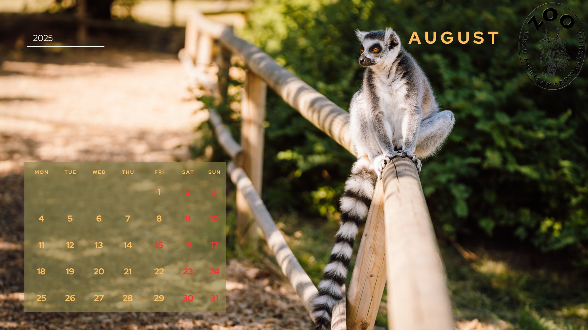 61 éves a Marosvásárhelyi Állatkert – koncert, programok és egyéb foglalkozások lesznek szombaton