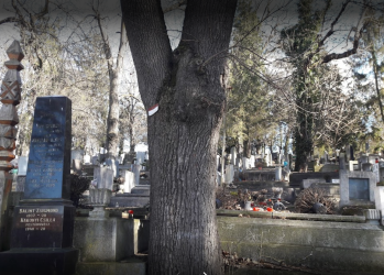 Sírgyalázás miatt vizsgálódik a szászrégeni rendőrség, miután ismeretlen tettesek több sírkövet ledöntöttek