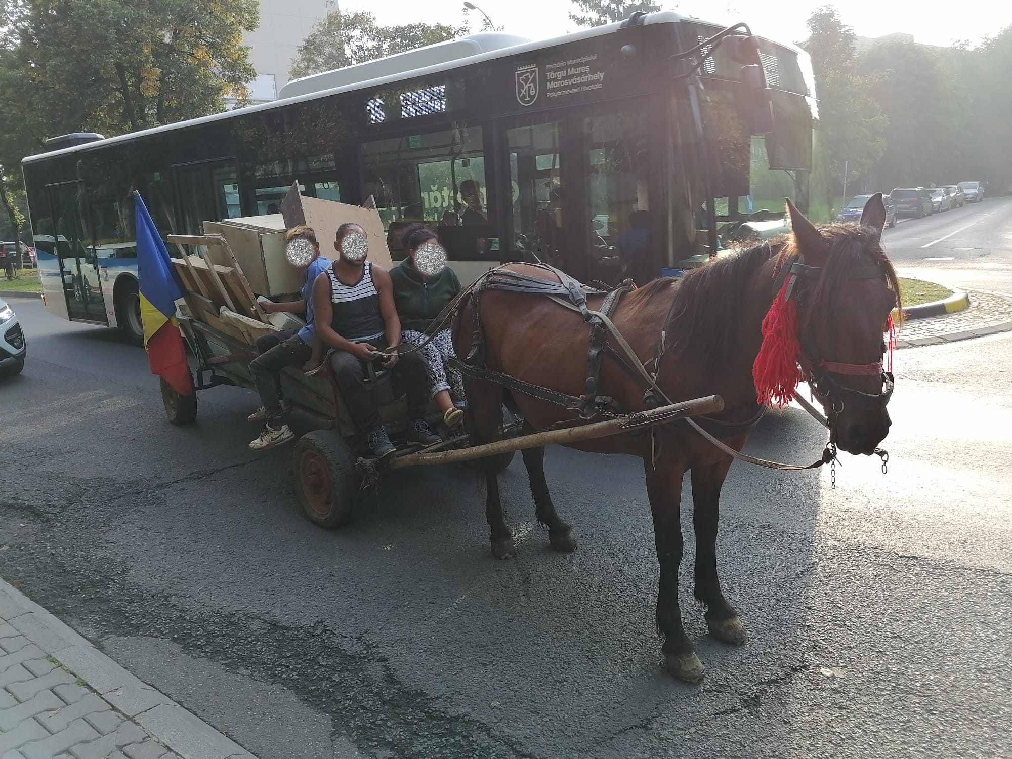 Fekete pont a szekereseknek, akik akadályozzák a forgalmat a városban
