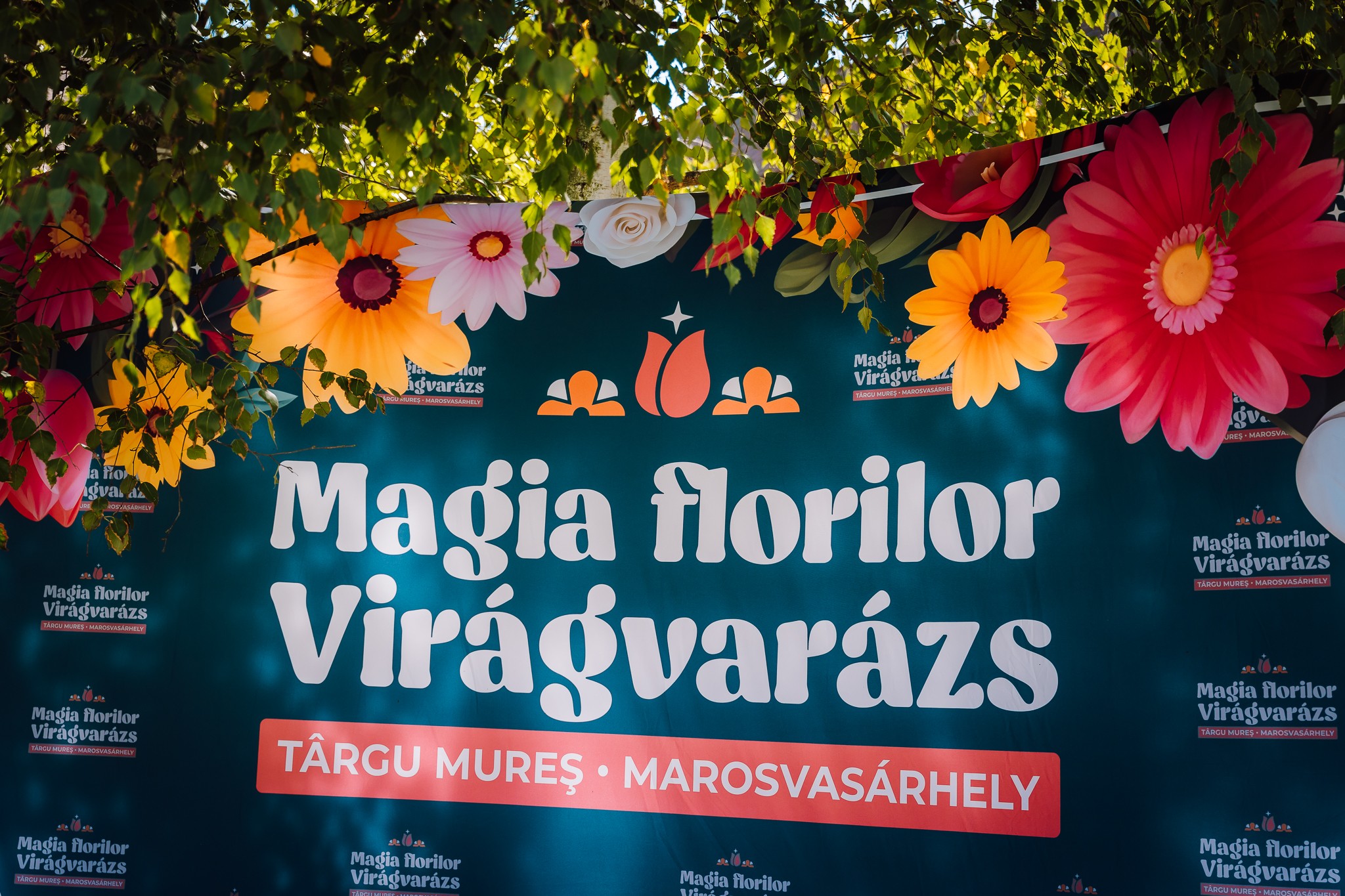 Forgalomkorlátozások Marosvásárhelyen a hétvégén – virágkarnevál és kerékpáros felvonulás miatt