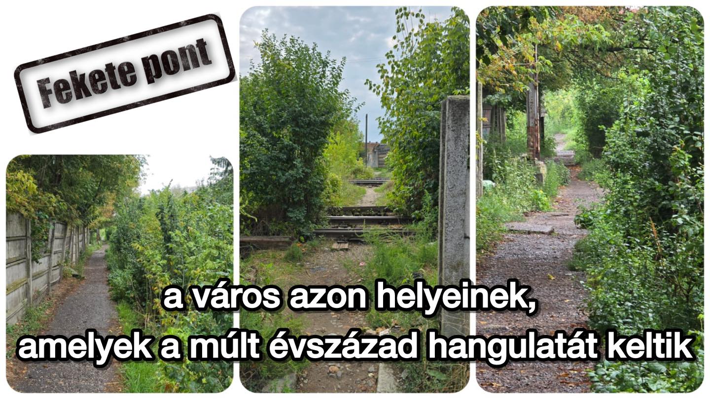 Fekete pont