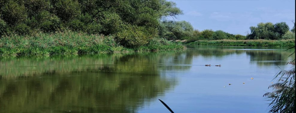 A lakosság döntheti el hogyan nézzenek ki Marosvásárhely parkjai – kezdődik a közvita
