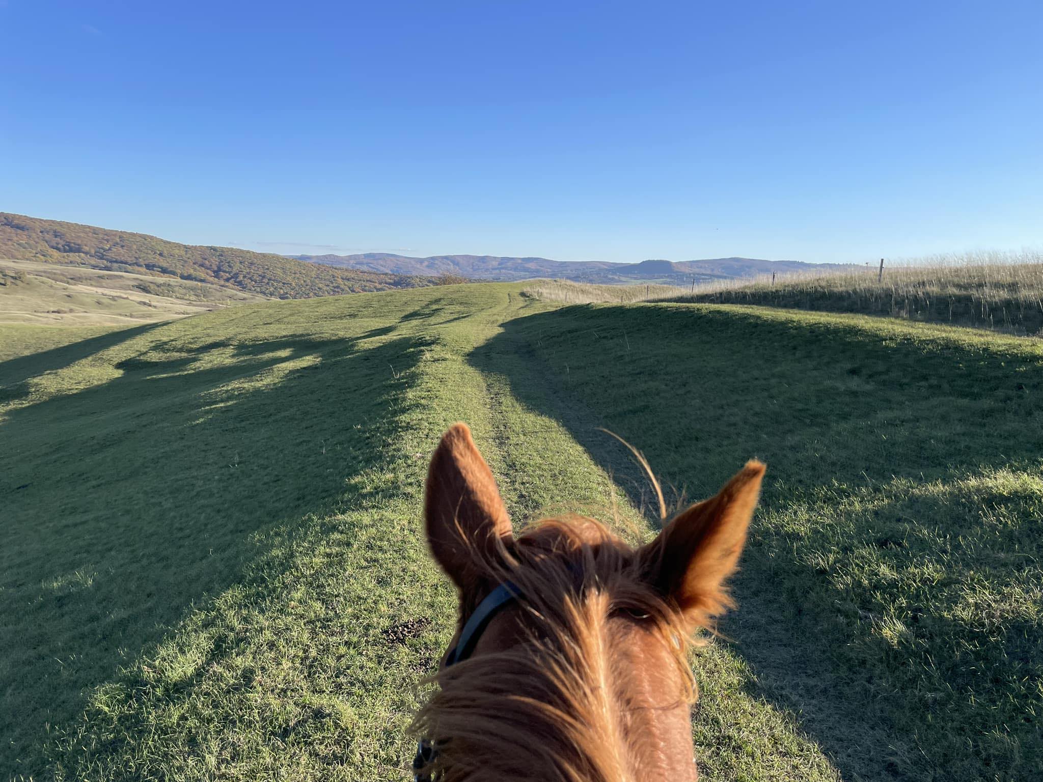 Lóhátról még csodálatosabbak az ősz színei Hargita megyében