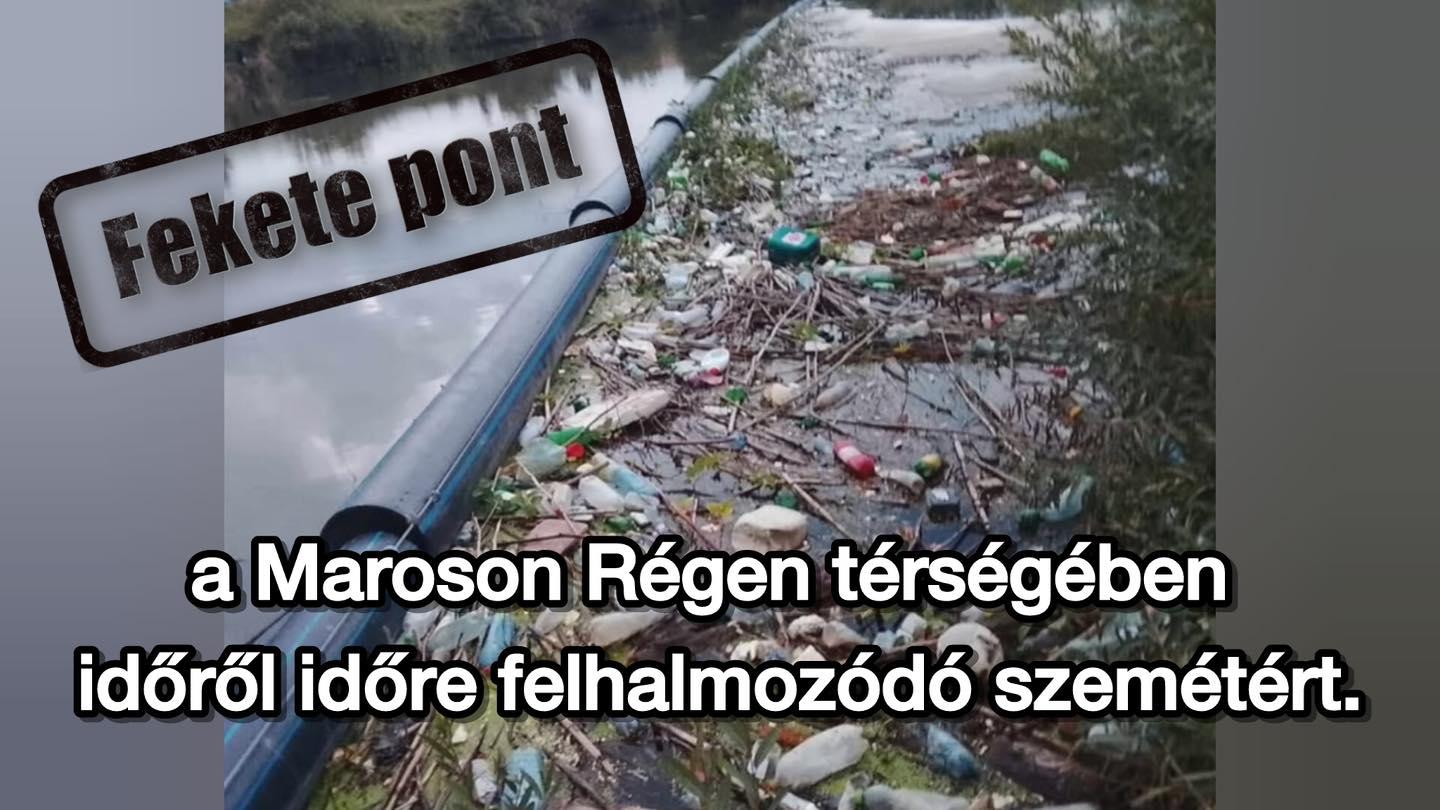 Fekete pont