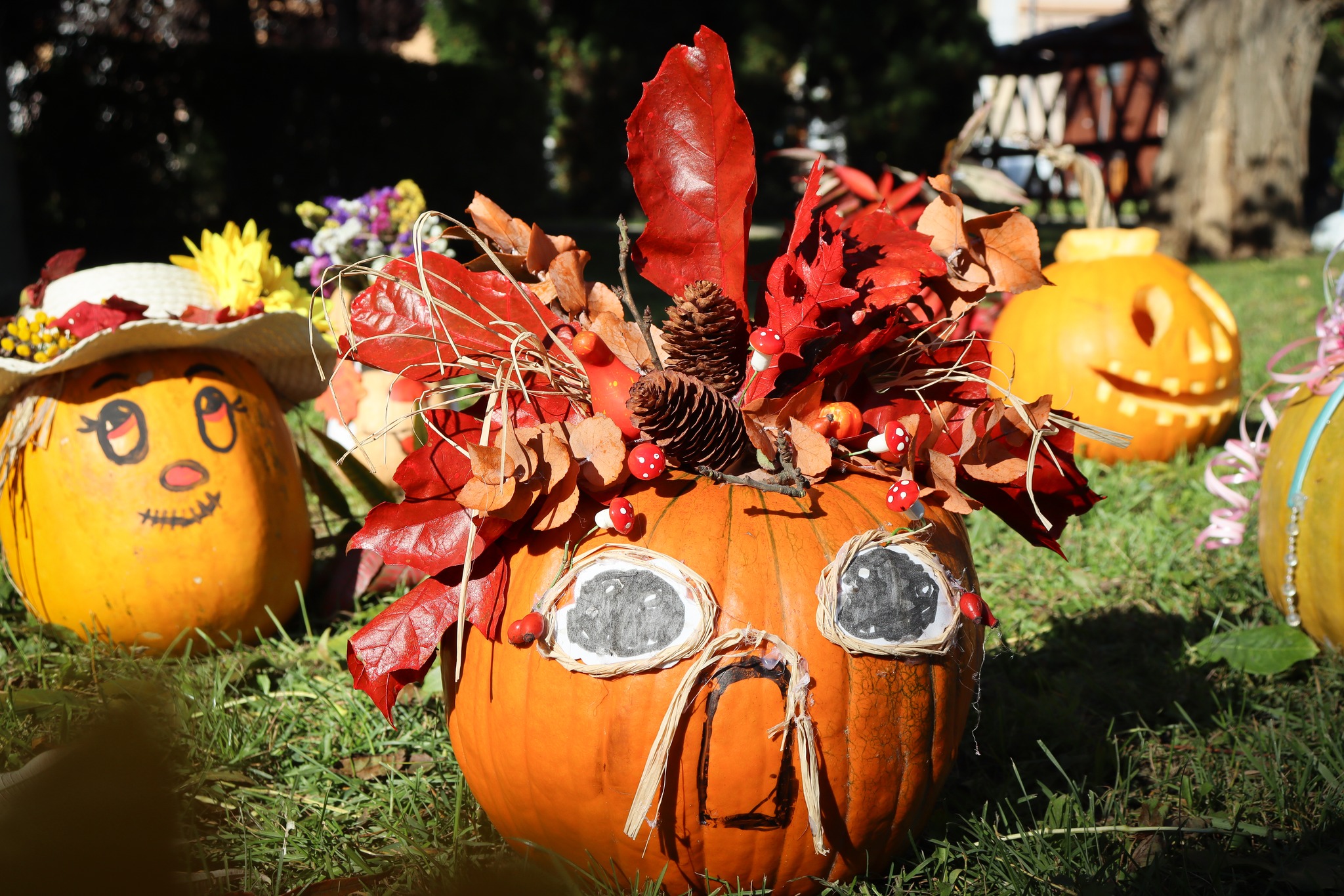 (Képgaléria) Szászrégen őszi ruhát öltött