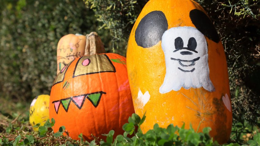 Őszi vásár Szászrégenben: jön a „Hello October” – október 17–19. között