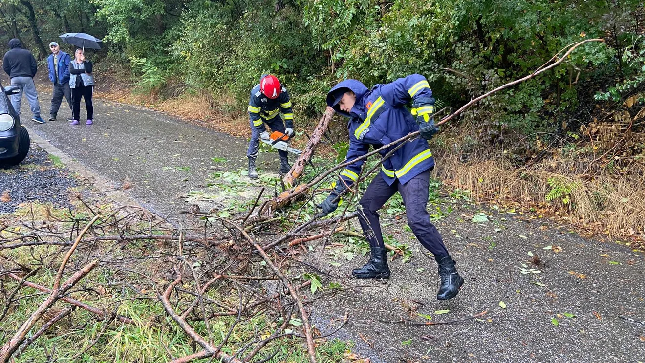 Tusnádfürdő helyreállítja a zöld területeket a testvérvárosok támogatásával