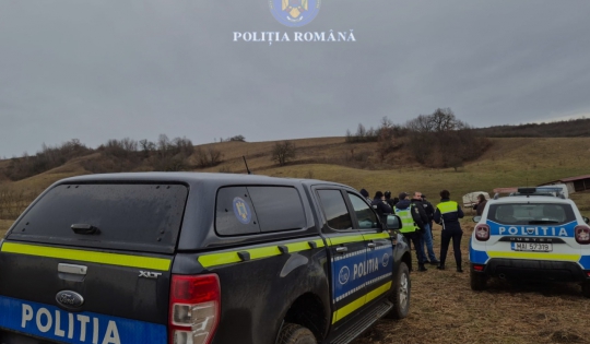 Ne hagyják felügyelet nélkül állataikat: intézkedések és bírságok Hargita megyében