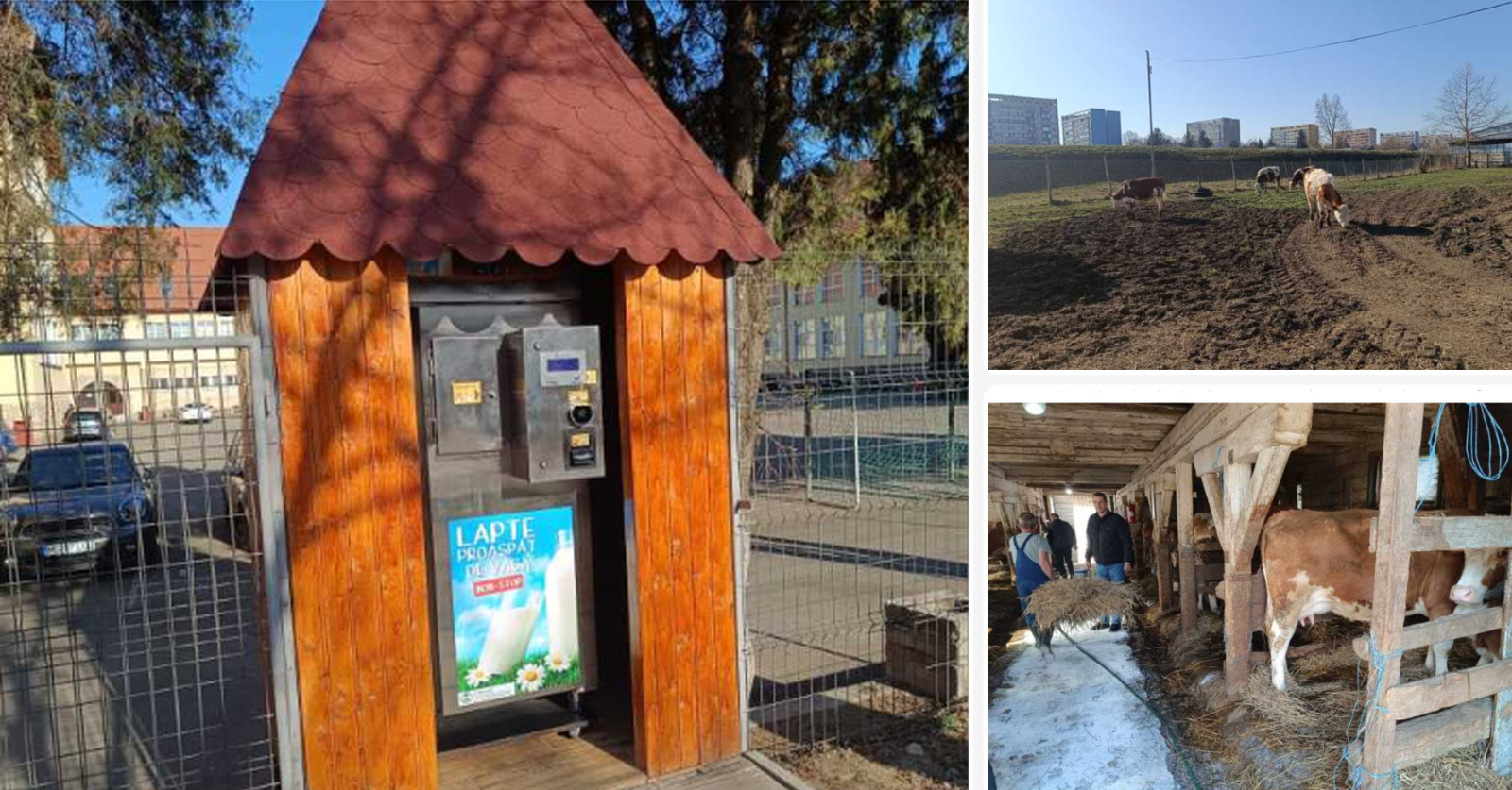 Piros pont a Mezőgazdasági Szakközépiskolának, amiért az iskola gazdaságából származó friss tejet kínálja a helyieknek. 