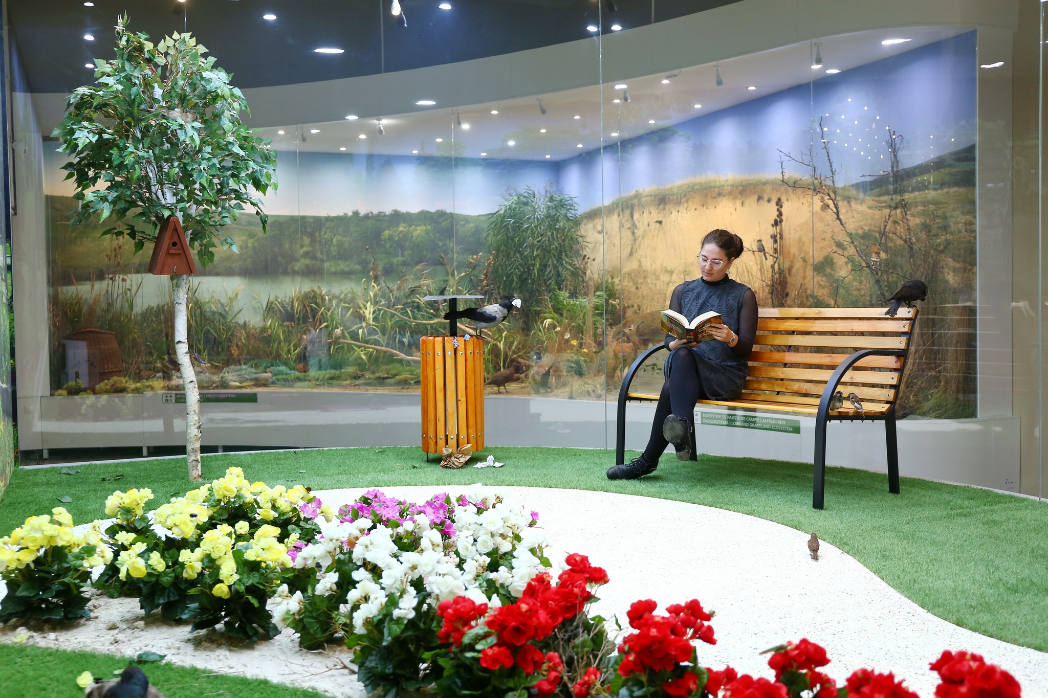 Tavaszi kalandozás a természet világában a Maros Megyei Múzeum Természettudományi Osztályán