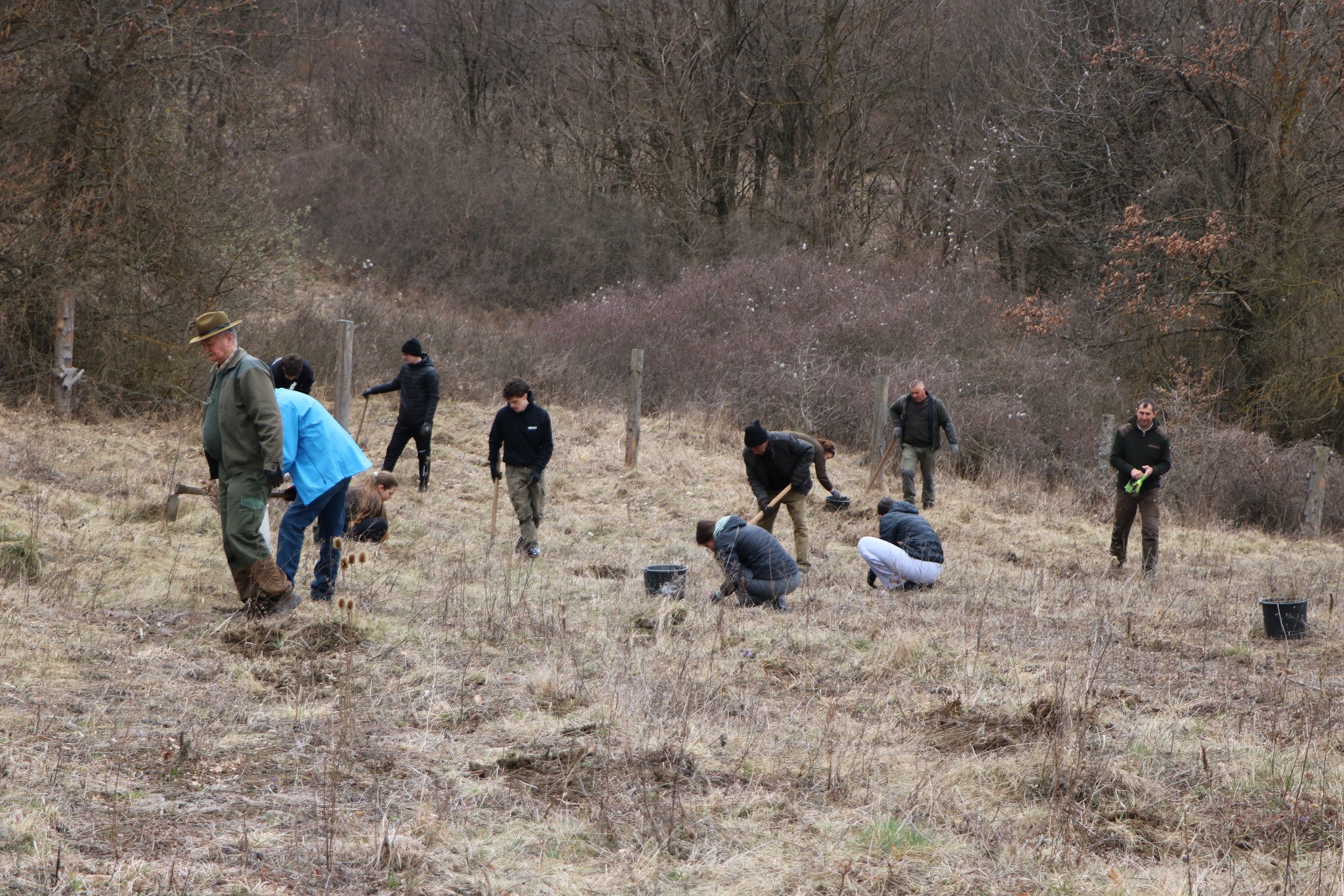 500 tölgycsemetét ültettek az Erdők Világnapján Székelyudvarhelyen