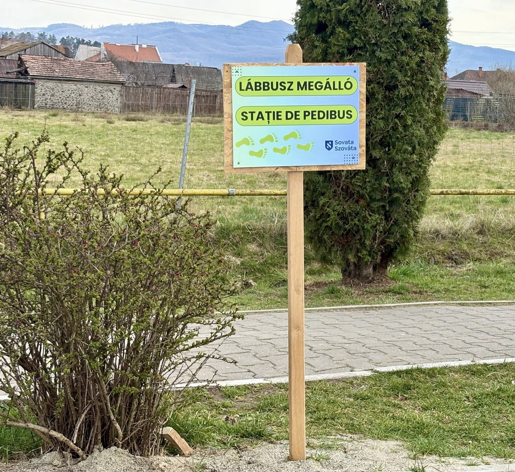 Holnaptól indul a Lábbusz Szovátán – mit érdemes tudni