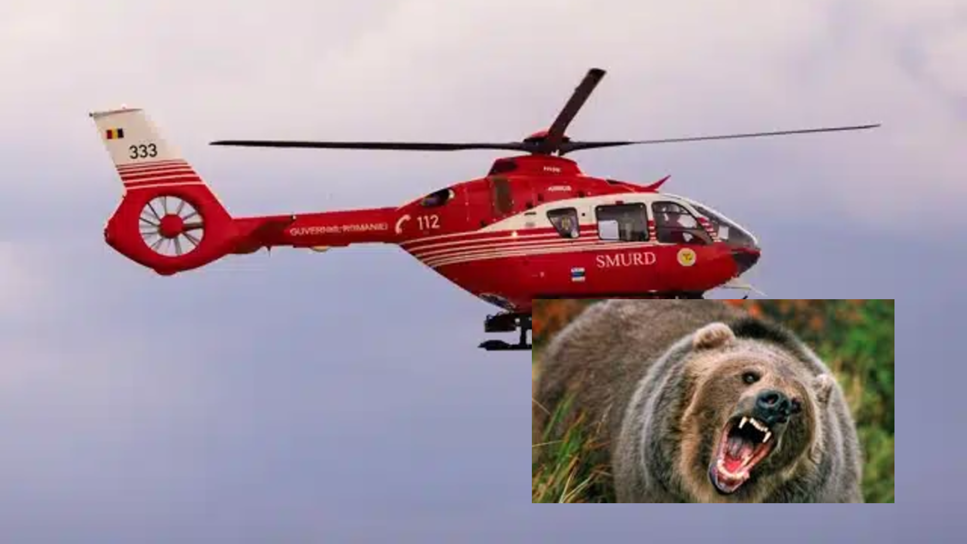 Medvetámadás a Nyárád mentén: súlyosan megsérült egy férfi, helikopterrel szállították kórházba