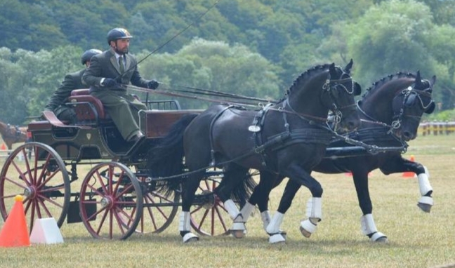 Marosvásárhely ad otthont a kettesfogatok Román Kupájának