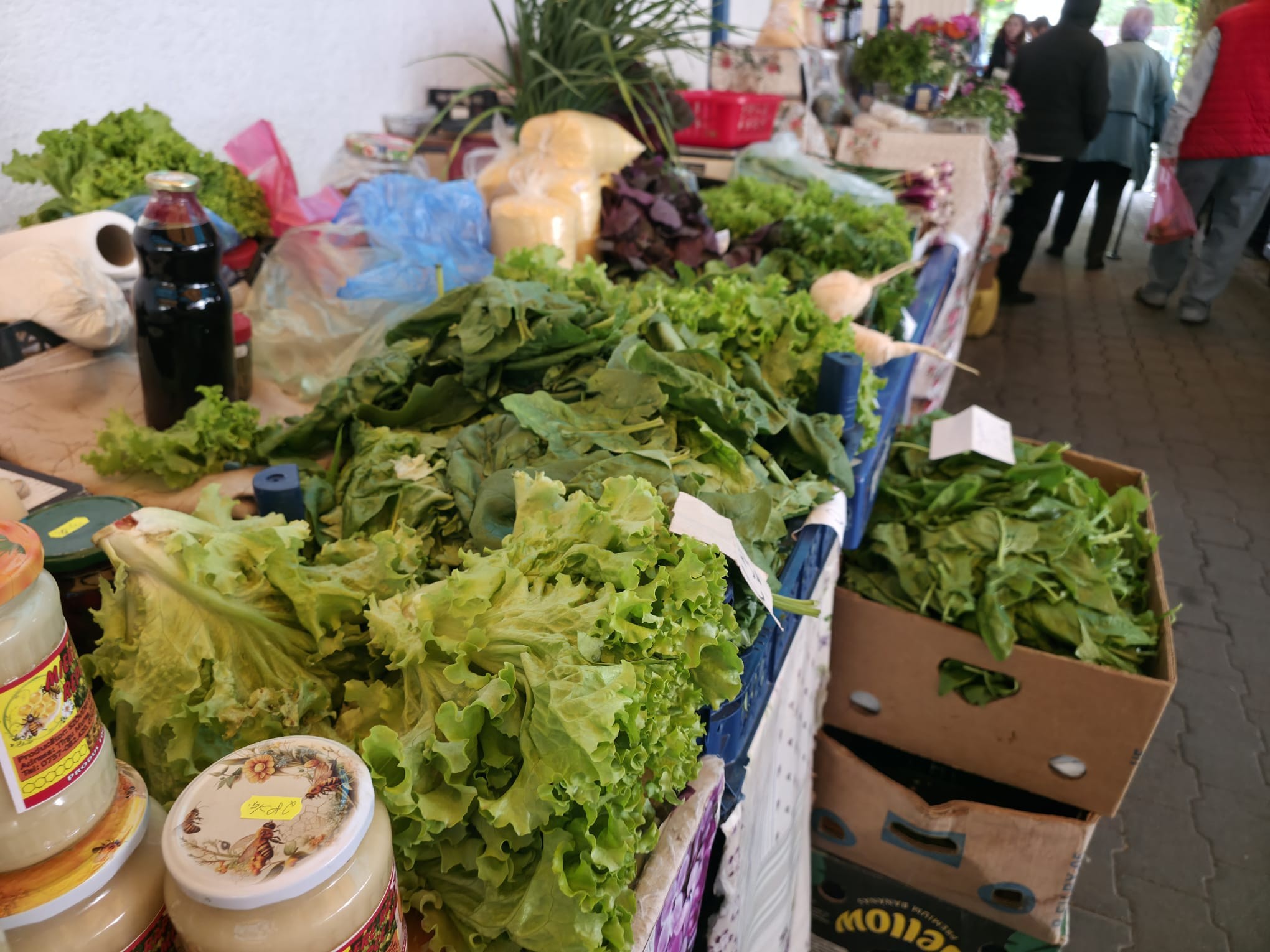 Minden településen termelői piacokat hoznának létre, ahol közvetlenül a helyi gazdáktól lehet friss élelmiszert vásárolni