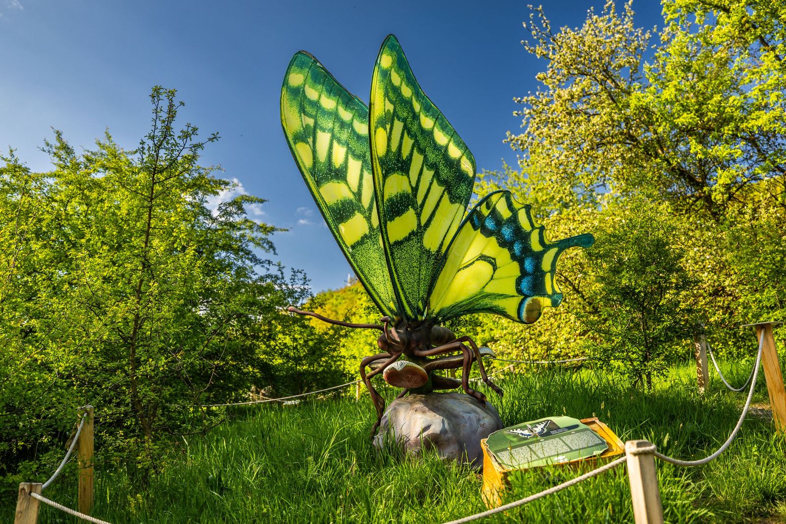 Ezek lettek a Hargita megyei döntősök az Év Úti Célja versenyen