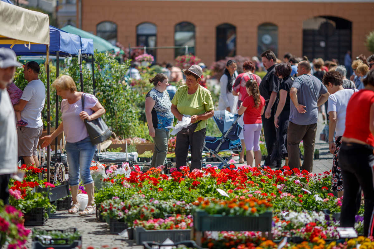 Virágvásár lesz hétvégén Sepsiszentgyörgyön