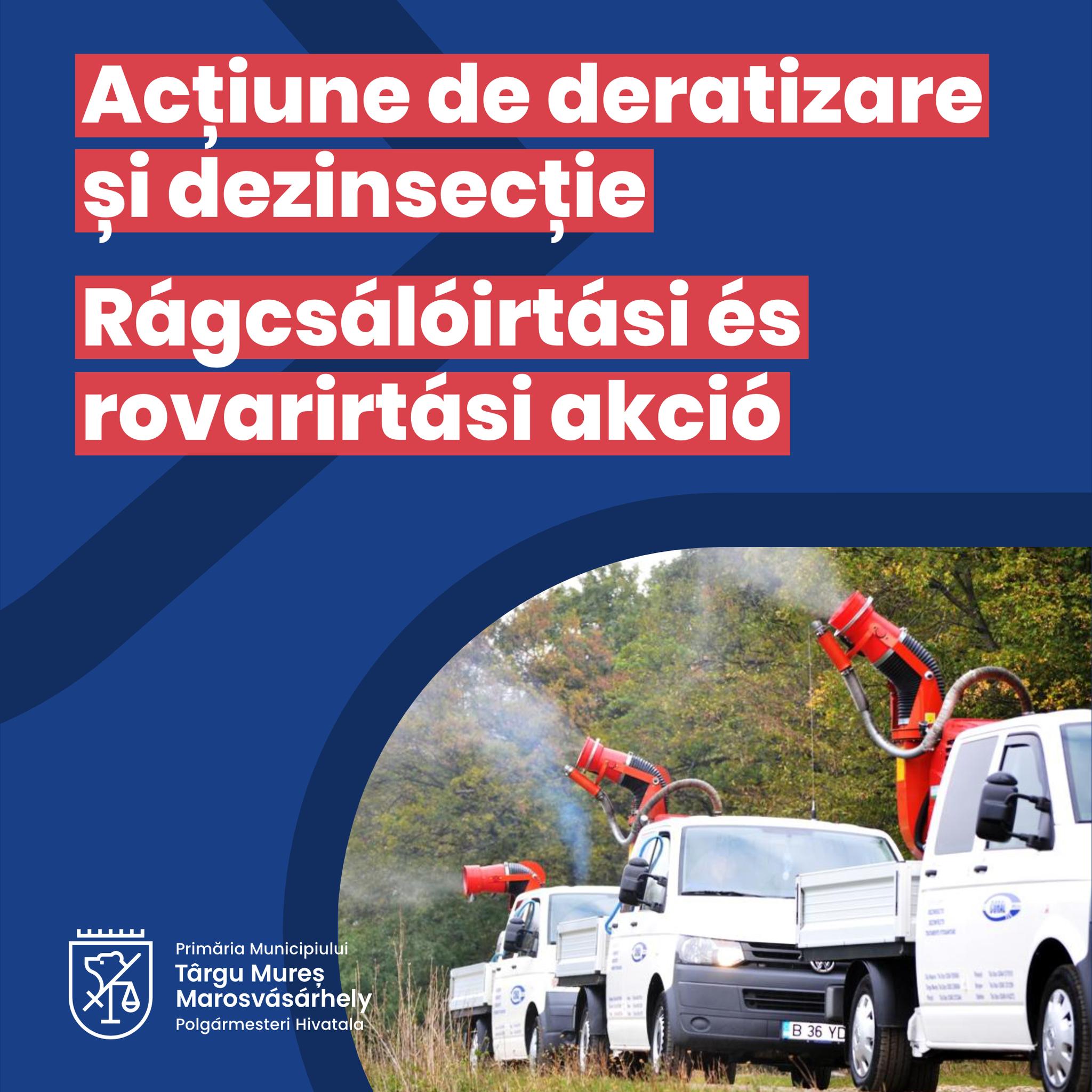 Kezdődik a rovarirtás Marosvásárhelyen