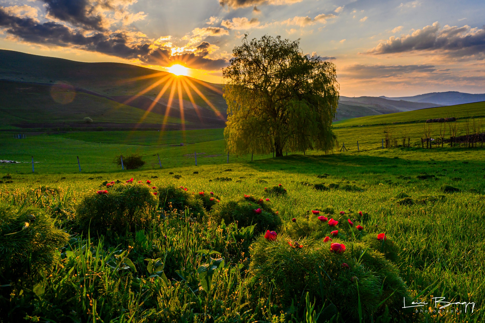 FOTÓ – Szemet gyönyörködtető napfelkelte a mezőzáhi bazsarózsa rezervátumnál