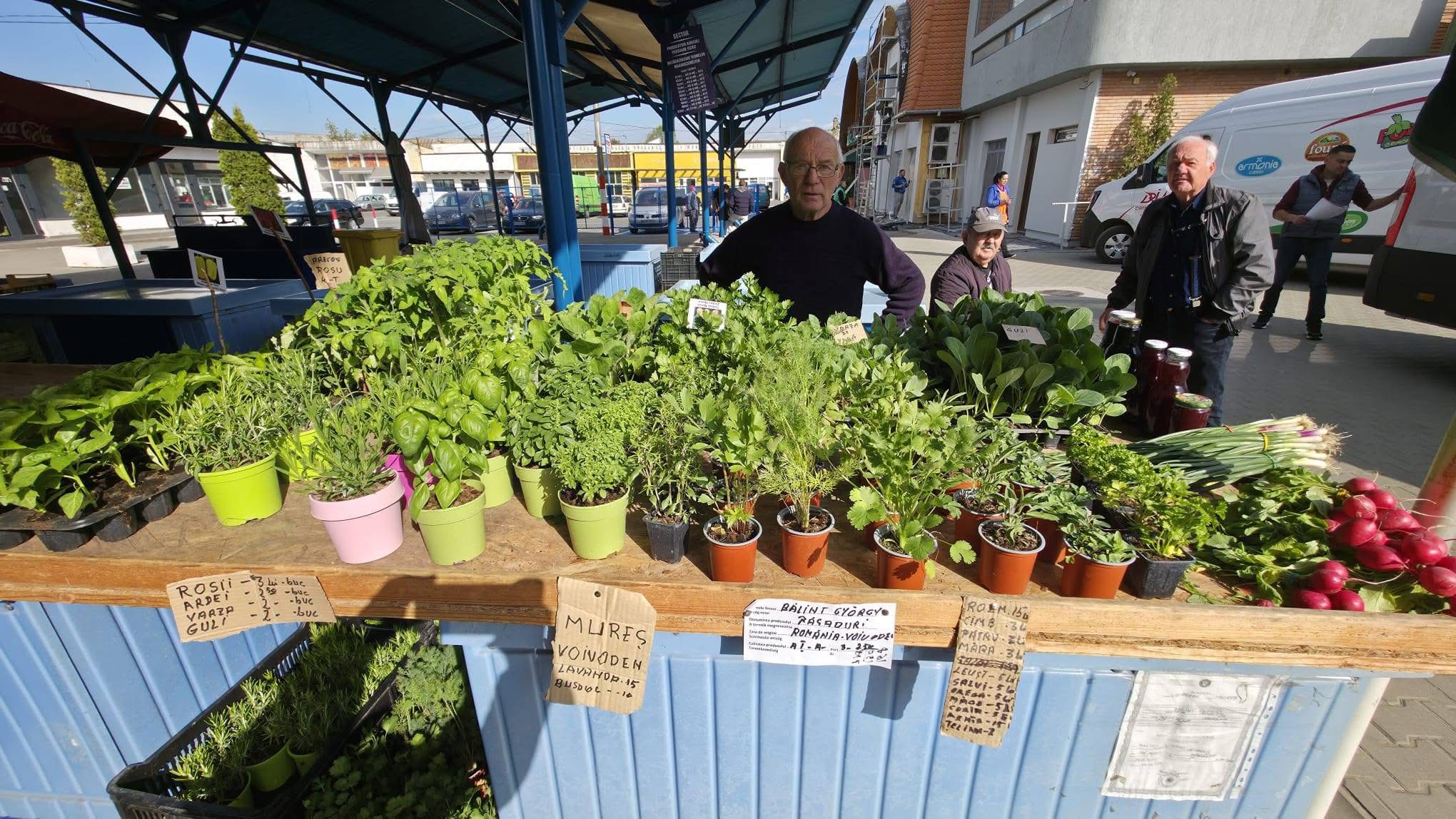 Vásároljunk helyit – A tavaszi palántaszezon fellendíti a marosvásárhelyi piacokat